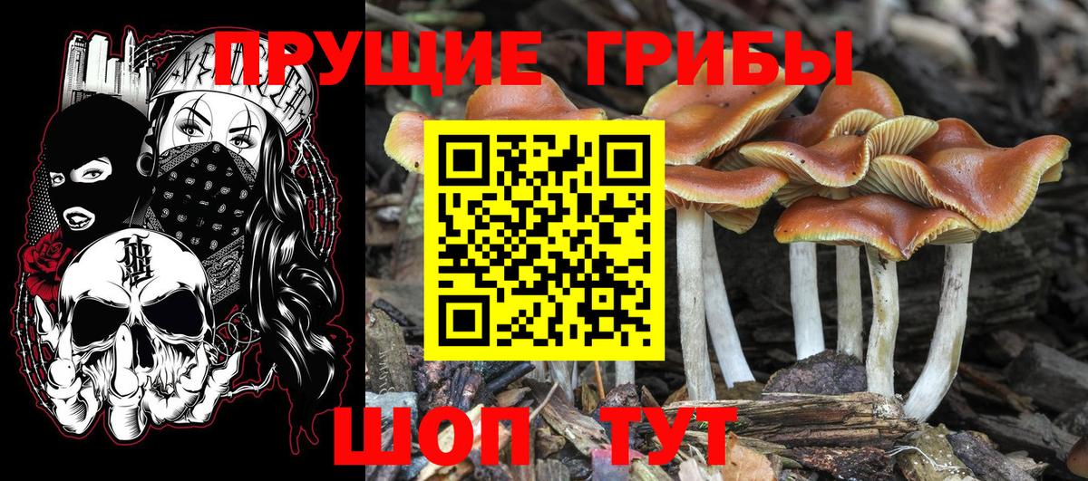 Псилоцибиновые грибы прущие грибы  Галлюциногенные грибы Magic Shrooms  Кубинка  Вход с VPN 
