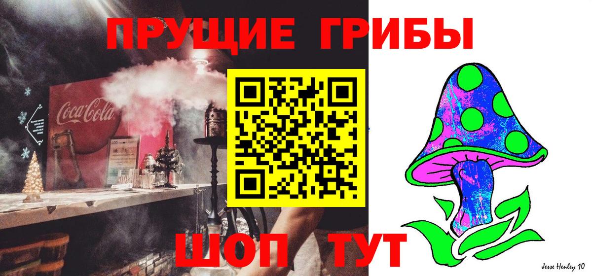 Псилоцибиновые грибы Psilocybine cubensis Кубинка